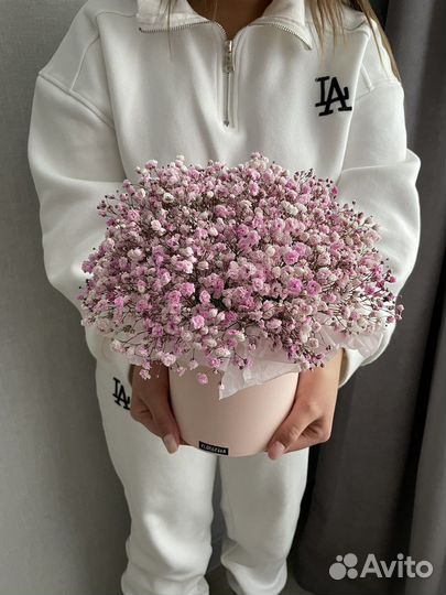 Гипсофила в коробке