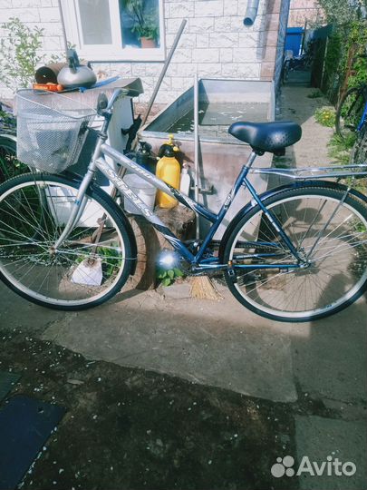 Stels 300