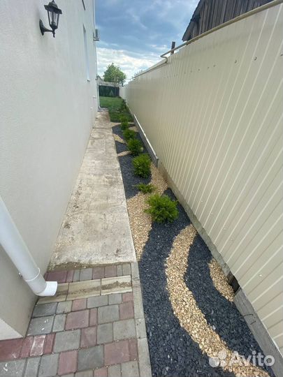 Рулонный газон с укладкой