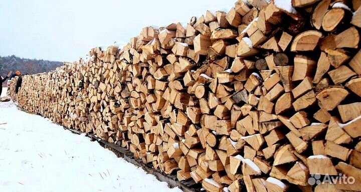 Дрова со Всеволожска