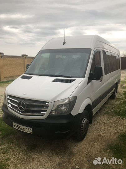 Аренда автобуса с водителем