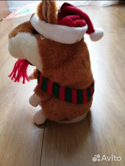 Говорящий хомяк