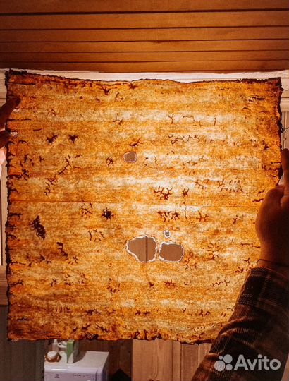 Прополисный положок холстик