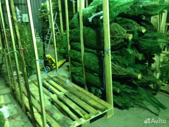 Продавец и комплектовщик на елочный базар