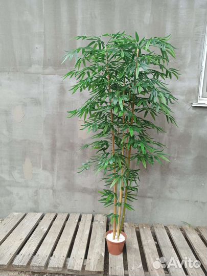 Бамбук. Искусственное дерево
