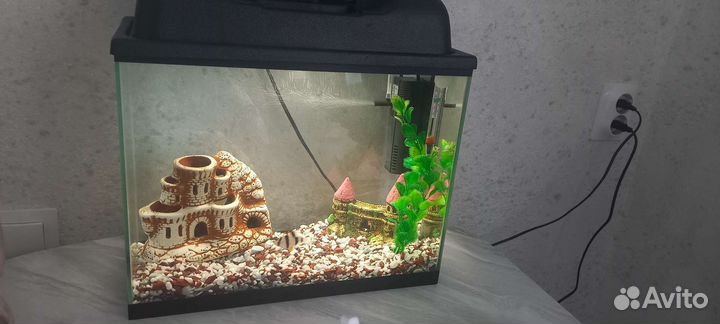 Аквариум