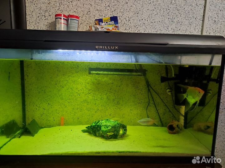 Аквариум с рыбками