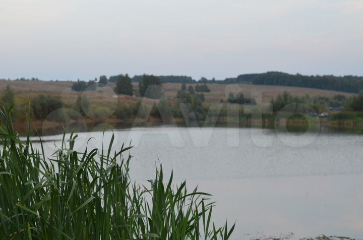 Участок 10 сот. (ИЖС)