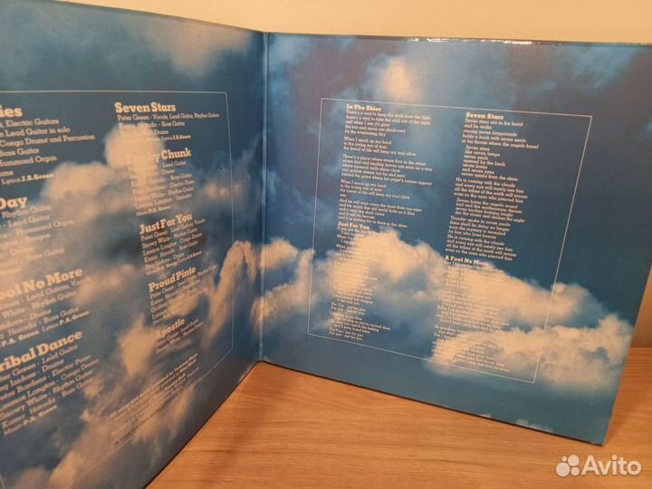 Peter Green – In The Skies VG+/VG+