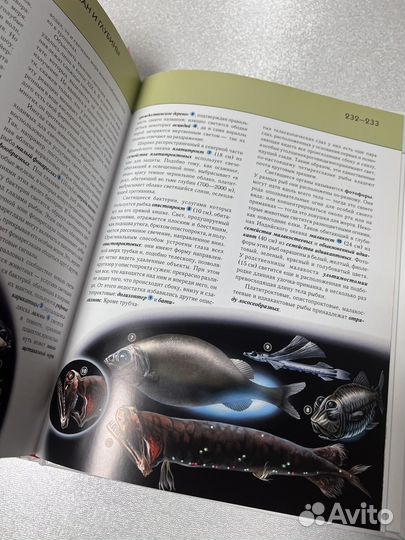 Полная энциклопедия подводный мир