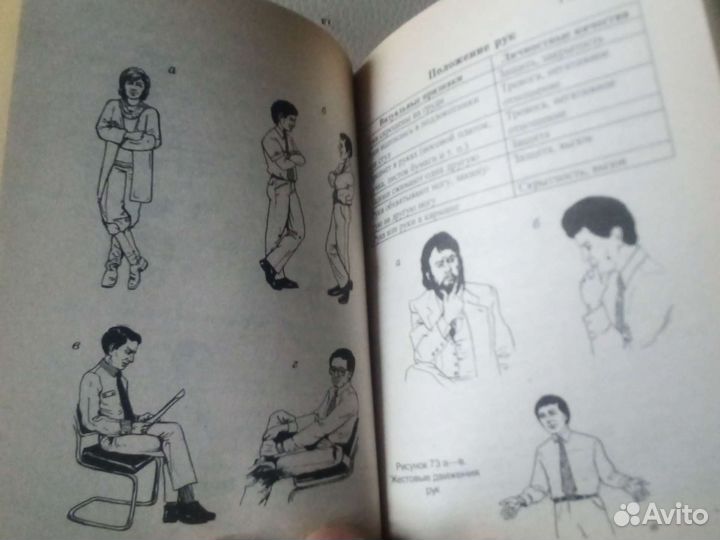 Физиогномика для начинающих