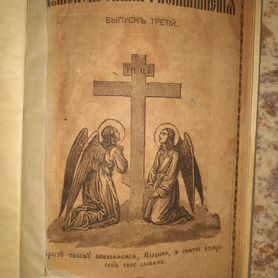 Церковная книга 1881