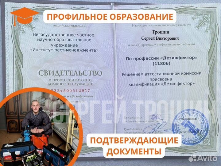 Уничтожение клещей и короеда. Сезонная обработка