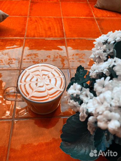 Базовые курсы бариста