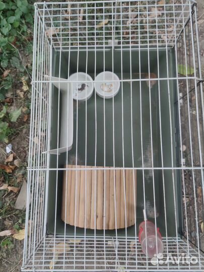 Клетка для грызунов