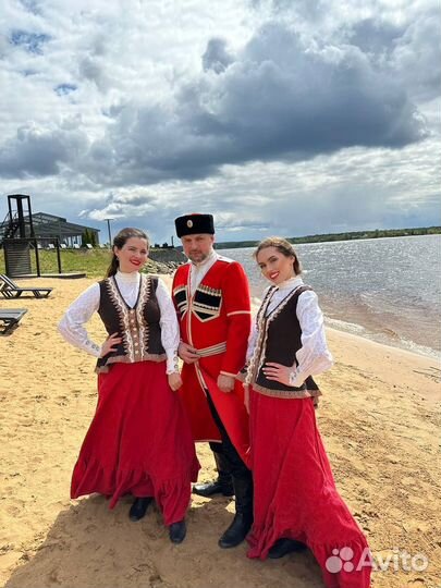 Ведущий, диджей, вокалист (тамада Ногинск-Москва )