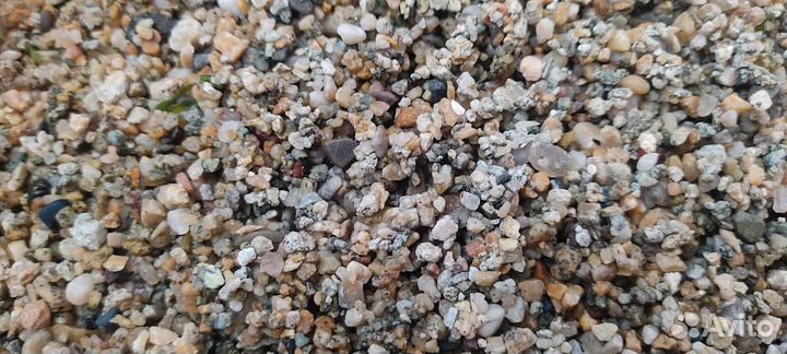 Рыбки, раки, растения