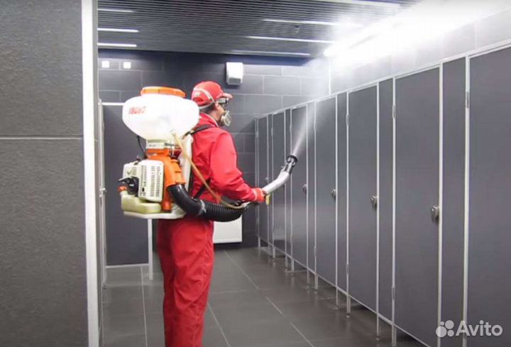 Дезинсекция