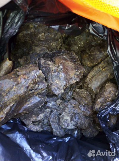 Прополис пчелиный