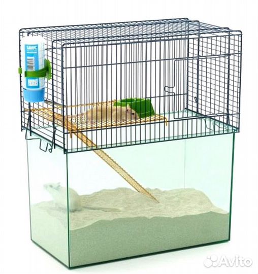 Песчанки разных окрасов и возрастов можно с клетк