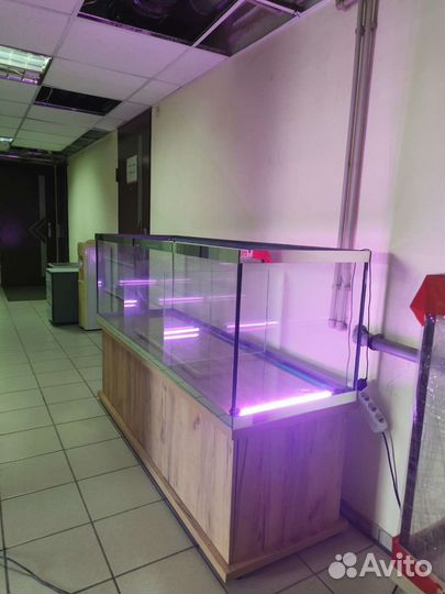 Аквариум 500 для торговли раками комплект оборудов