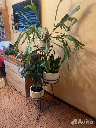 Продам металлическую подставку для цветов