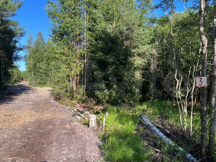 Участок 9 сот. (СНТ, ДНП)