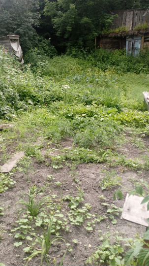 Участок 12,4 сот. (ИЖС)