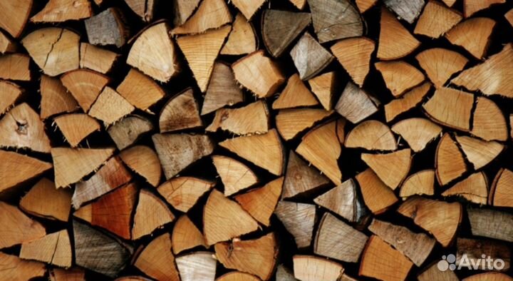 Дрова колотые дуб