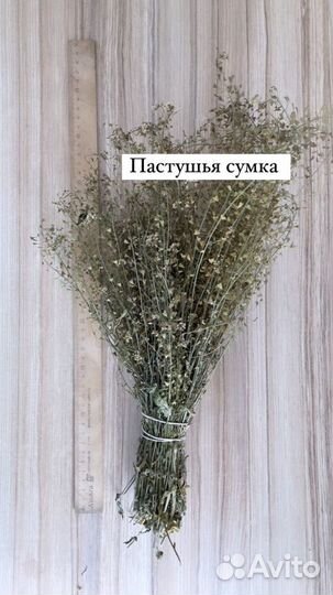 Лекарственные травы