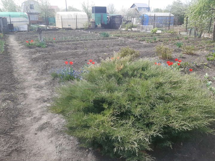 Участок 4,5 сот. (СНТ, ДНП)