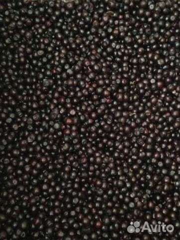 Черника, брусника, клюква, жимолость, вишня, ягода