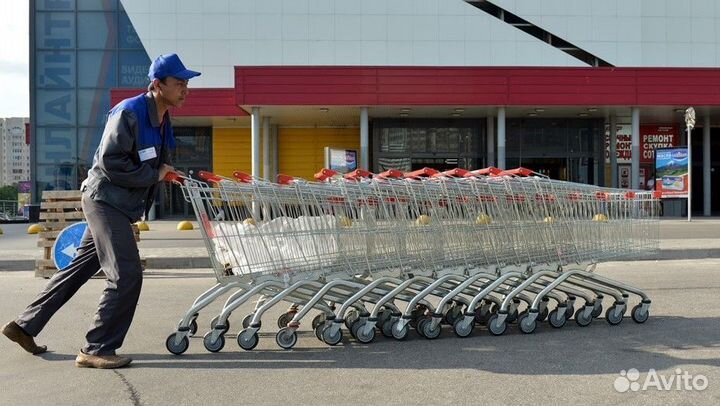 Тележечники