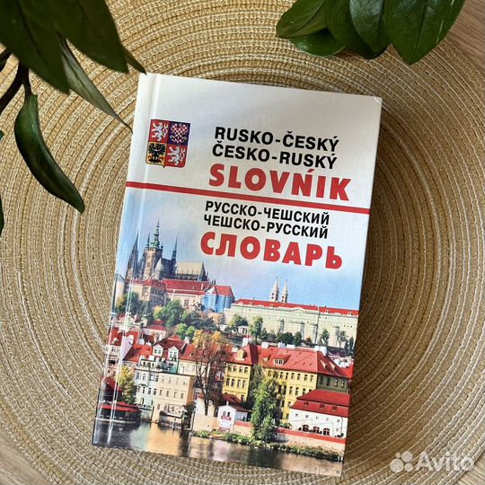 Русско-чешский словарь