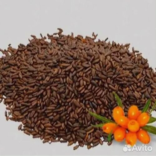 Семена облепихи