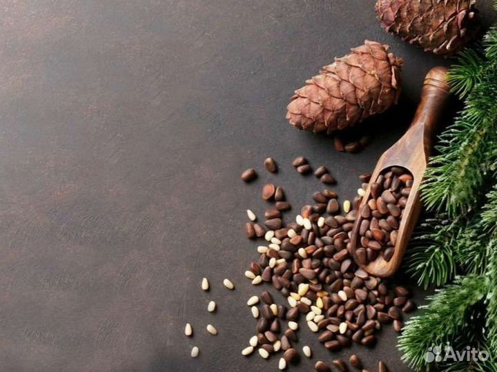 Орех кедровый