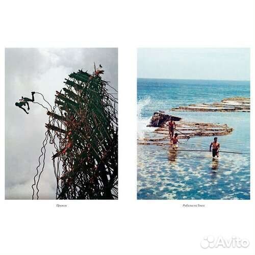 Аттенборо Д. 