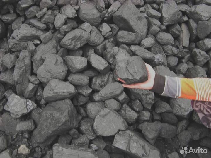 Лиственница, клён, дуб — дрова для традиционного тепла