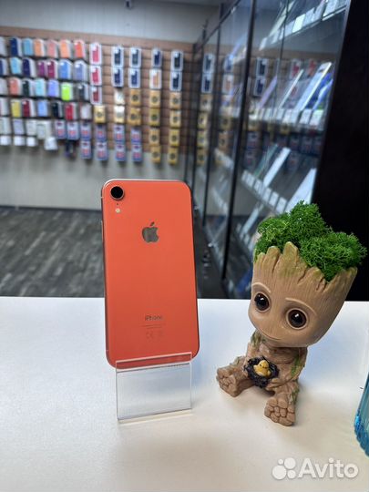 iPhone Xr, 128 ГБ