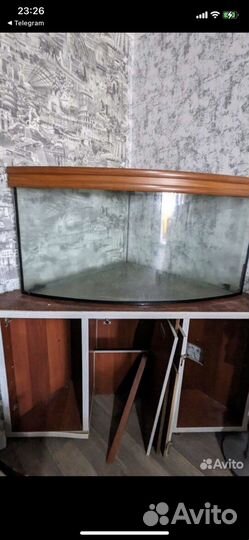 Аквариум на 200 литров