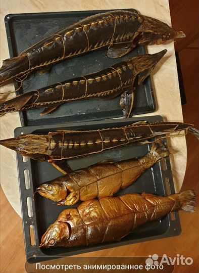 Рыба горячего копчения