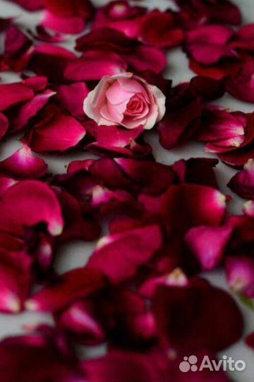 Лепестки роз
