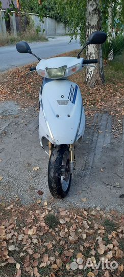 Suzuki zz