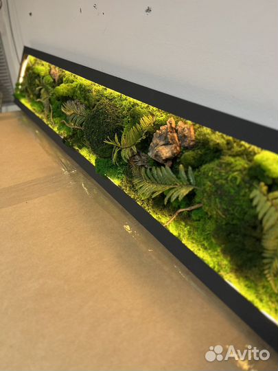 Картина из мха(ягель) / подарки/панно