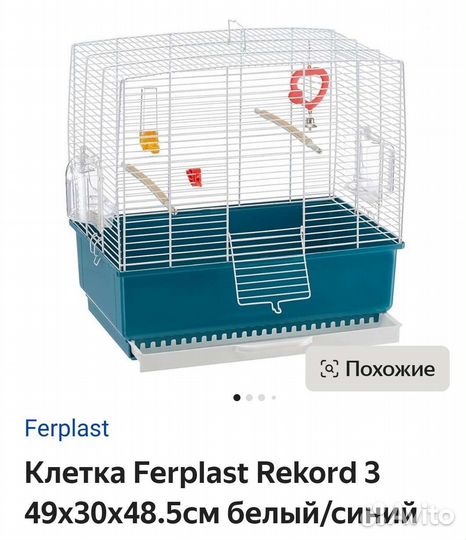 Клетка рекорд 3 Италия