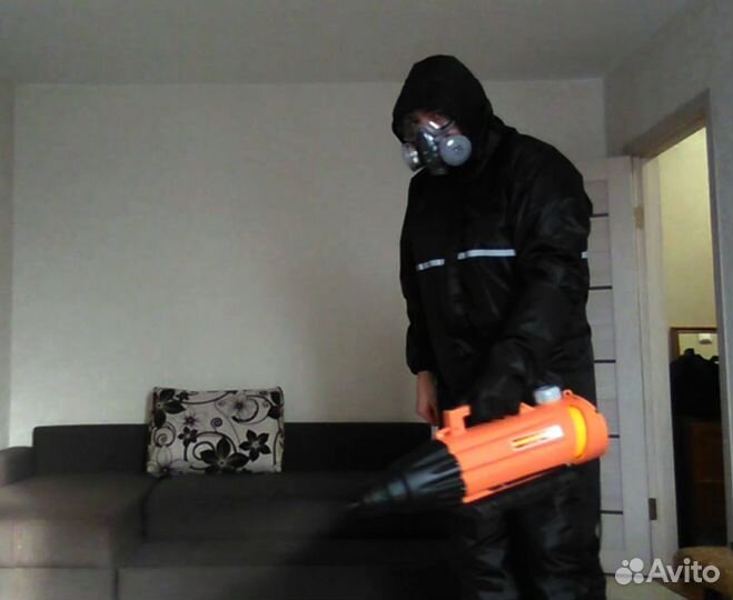 Уничтожение комаров клопов тараканов мышей шершней