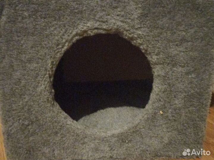 Когтеточка