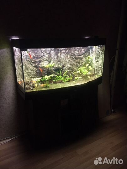 Аквариум Juwel Vision 260 с тумбой