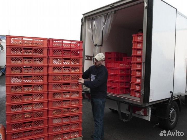 Водитель-экспедитор на своем автомобиле