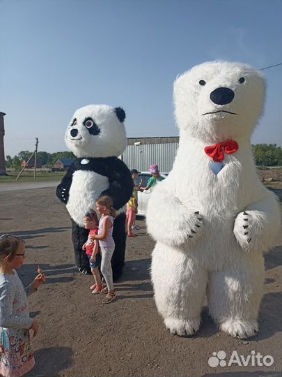 Панда 2,6 метра поздравит